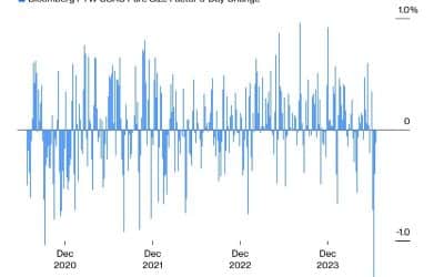 MARKET UPDATE – AUGUST 2024