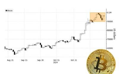 MARKET UPDATE – DECEMBER 2024