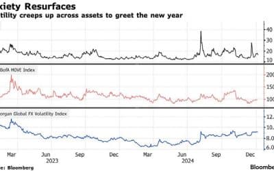 MARKET UPDATE – JANUARY 2025